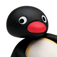 Pingu Profile